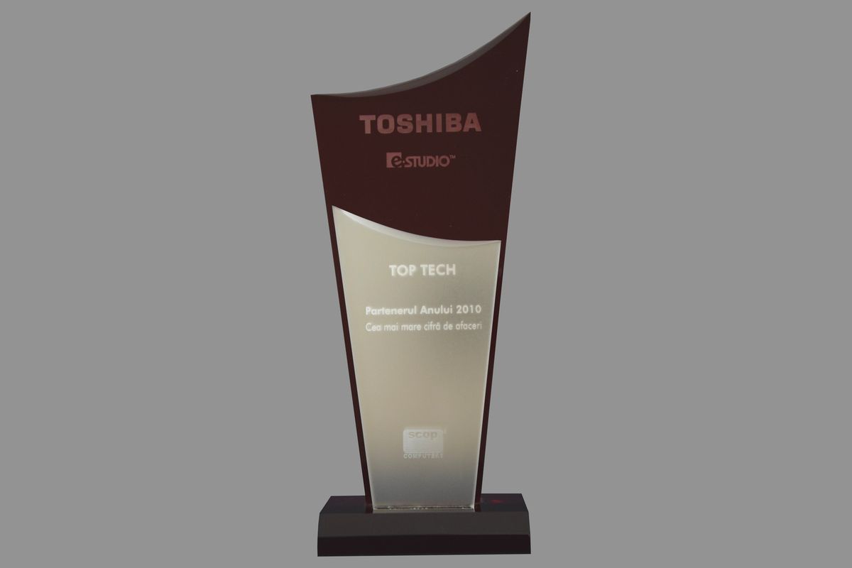 TopTech - Toshiba Partenerul anului 2010 
